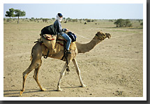 Barbara on her camel