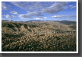 La Paz