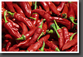 Chilli